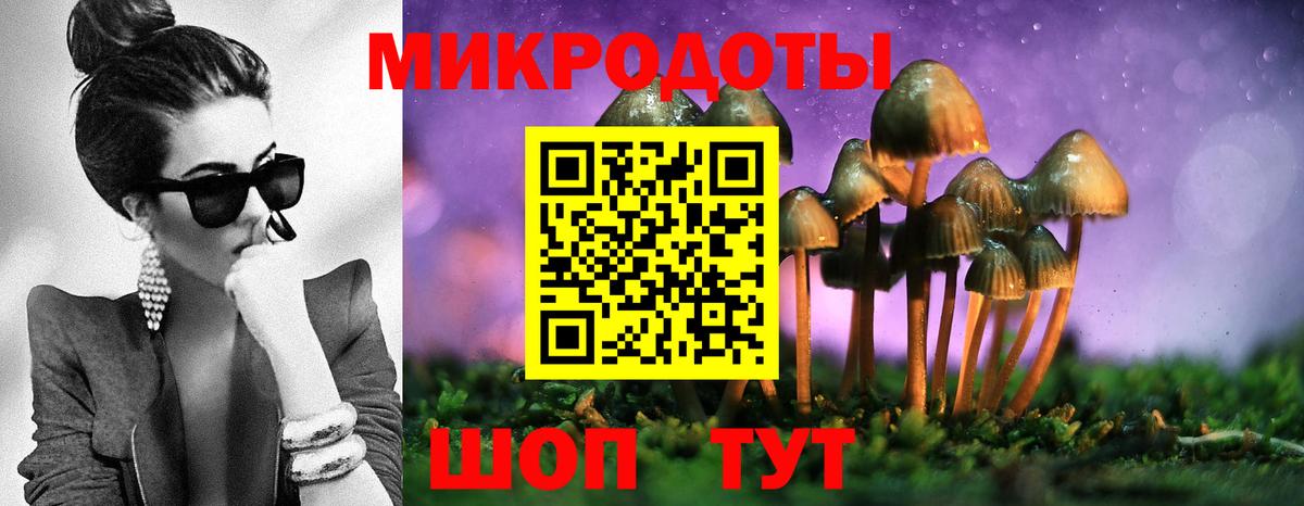 Омск  Псилоцибиновые грибы Psilocybine cubensis  Галлюциногенные грибы Cubensis  Вход с VPN 